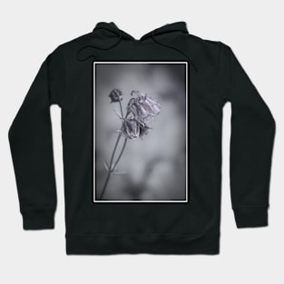 Columbine in Black and White Hoodie